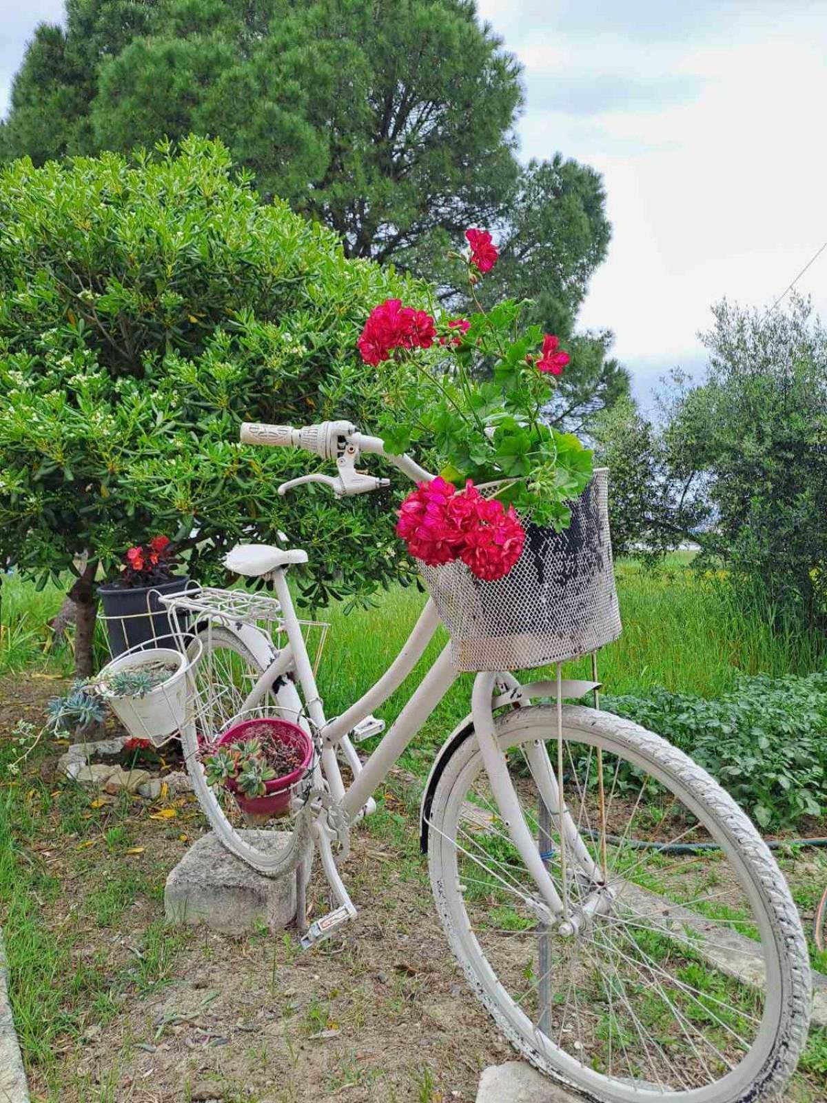 Corfu Lakeside Cottage Kanoni  Extérieur photo